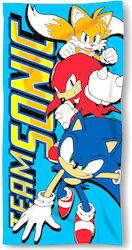 Sega Hedgehog