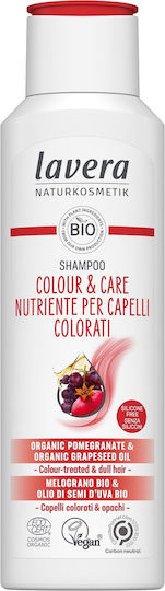 Lavera Color & Care Shampoo for Itching for Coloured Hair 250ml