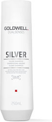 Goldwell Dualsenses Silver Color Retention & Sh...