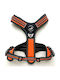 All For Dogs Σαμαράκι Σκύλου Γιλέκο Πορτοκαλί Small / X-Small / Medium / Large VAT016255