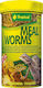 Tropical Meal Worms 250ml Contains