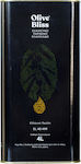 Infinite Trade Exzellentes natives Olivenöl Olive Bliss mit Aroma Unverfälscht 4Es 1Stück