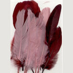 Feathers Wine 15 5-20cm 15pcs