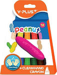 Y-plus Peanut Coloured Pencils 12 Colours 377782