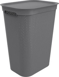 Rotho Babydesign Καλάθι Απλύτων Πλαστικό 50lt με Καπάκι 43.1x34x52.9cm Γκρι Rotho Babydesign Καλάθι Απλύτων Πλαστικό 50lt με Καπάκι 43.1x34x52.9cm Γκρι