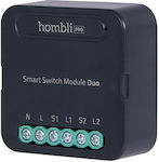 Hombli Intermediate Switch