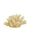 Artekko Decorative Coral made of Polyresin 22x17x14cm 1pcs