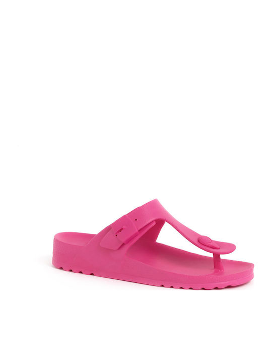 Scholl Scholl