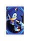 Walls Αφίσα Sonic The Hedgehog 15x20cm