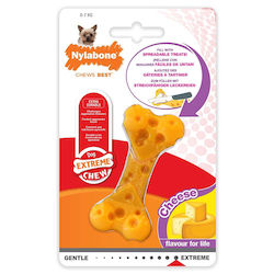 Dog Bone Cheese Flavor Nylabone Ny4103 Dura Cheese Bone Xs 7cm 0-7kg