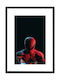 Walls Детска Рамка Spider Man с Черна Рамка от Дърво 50x70см