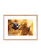 Walls Kids Wall Art Spiderman 2 Wooden Framed 30x20cm
