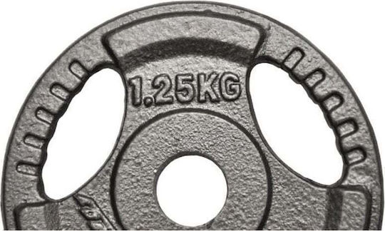 Eb Fit Δίσκος Μεταλλικός 1 x 1.25kg Φ28mm με Λαβές
