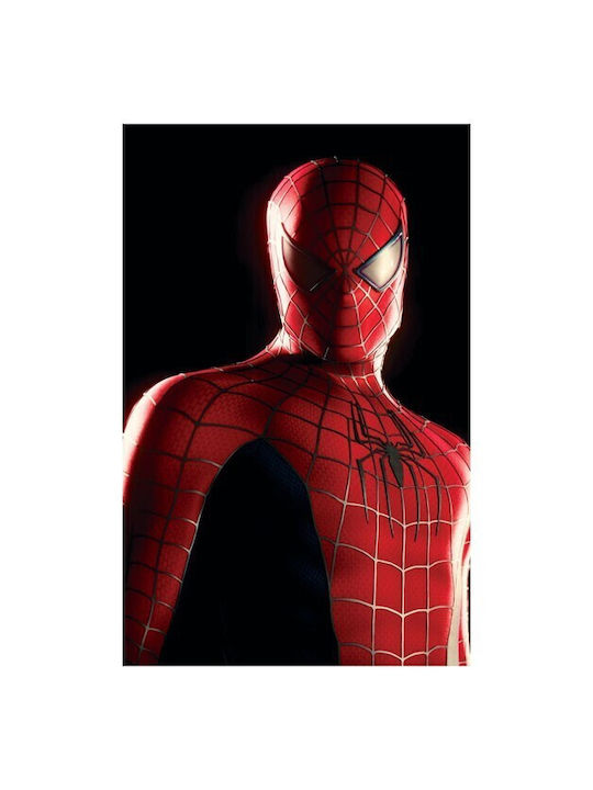 Walls Афиш Spider-man 50x70см