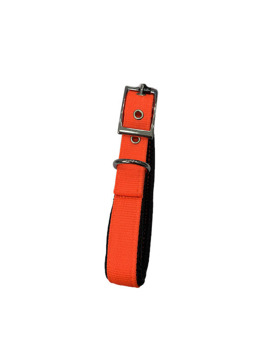 Pet Camelot Dog Collar Orange Anatomic Lining 2...