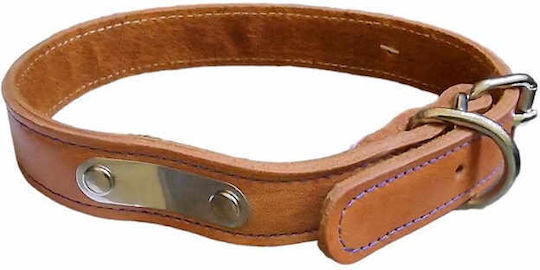Ikaros Haustier Leder Hundeleine 20mm X 45cm Beige