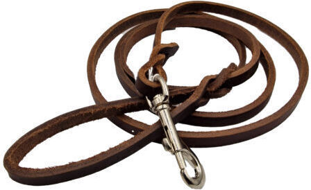 Ikaros Accesorii pentru animale de companie Lesă de piele pentru câini 2.2x60cm Maro