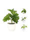 Künstliche Pflanze im Töpfchen Monstera 15cm (Verschiedene Designs) Koopman