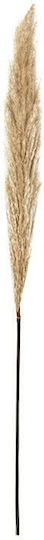 Artificial Decorative Branch Beige 120cm Fylliana