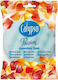 Calypso Sponge White 1pcs