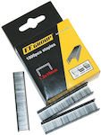 F.F. Group 24261 Staples 8mm 1000pcs