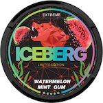 Iceberg Chewing gum 1pcs