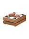 Ready Crate Tavă refrigerată Gn1/2 Platou de Servire pentru Brânzeturi Lemn 32.5x26.5buc 1buc