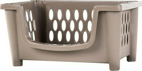 Homeplast Carina Aufbewahrungskorb Kunststoff Brown 48.5x34x25cm 1Stück