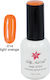 Ημιμόνιμο Μανό One Step 15ml Light Orange 40504001-014