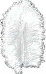 White Marabou Feathers 10-12cm 17pcs