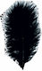 Schwarze Marabufedern 10-12cm, 17 Stück