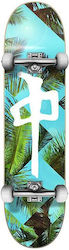 Red Dragon Palm Beach Komplett Kurzboard Türkis Red Dragon Palm Beach Komplett Kurzboard Türkis