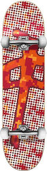 Red Dragon Fire Digi Chung Komplett Kurzboard Red Dragon Fire Digi Chung Komplett Kurzboard