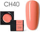 Canni Gel Falsche Nagelgel CH40 5gr
