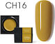 Canni Gel Falsche Nagelgel CH16 5gr