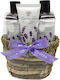 Aurora Lavender Gift Set Shower Gel 180ml Shampoo 180ml Conditioner 60ml