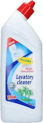 Cleaning Gel Toilet 1lt