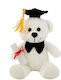 Graduation Teddy Bear White 16cm