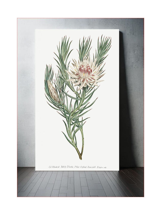 iLovePrints Protea Tablou pe Pânză 20x30cm