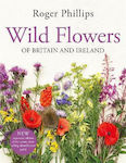 Wild Flowers Of Britain And Ireland Roger Phillips Macmillan 0730