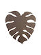 TK Lighting Monstera Modern Leuchte Wand mit Fassung G9 Braun 35x35x4.5cm