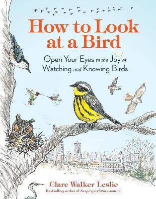 How To Look At A Bird Open Your Eyes To The Joy Of Watching And Knowing Birds Clare Walker Leslie Llc
