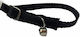 Pet Camelot Katzenhalsband (Verschiedene Farben)