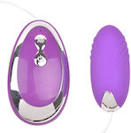 Vibrator Egg Violet