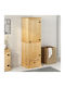 Einzeltür Kleiderschrank 55x50x170cm