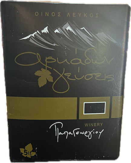 Παπαγεωργίου Winery Κρασί Μοσχοφίλερο Λευκό Ξηρό σε Ασκό 5000ml