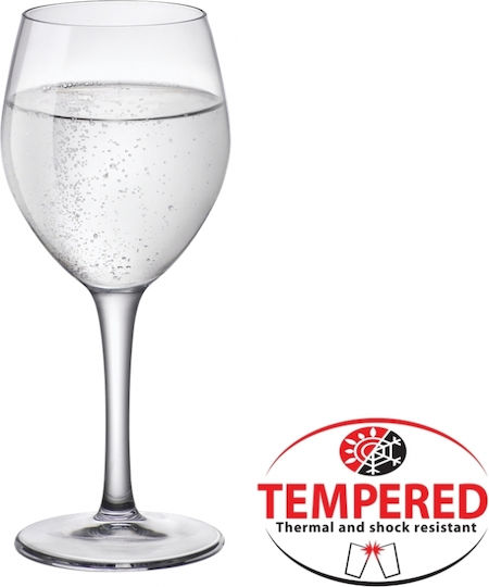 Ready Set Glas Brillen Weißwein Türkis 12 Stück