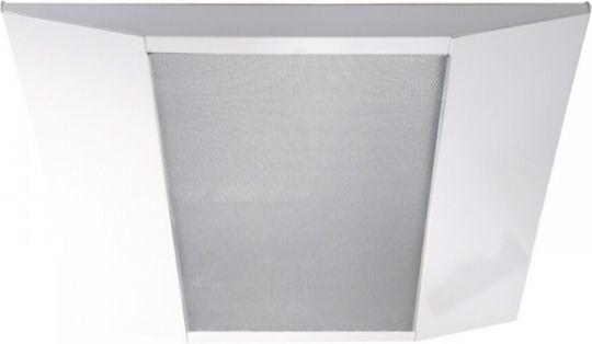 DIL OZEAN-P-4 Fluorescent Ceiling Light with 4 Light Bulb Places T5 Shape for G5 Base L68xD62xH4cm