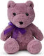 WP Merchandise Plüschbär 21 cm