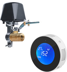 Active Jet Detector De Gaz